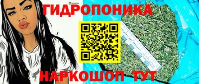 спиды Тверь