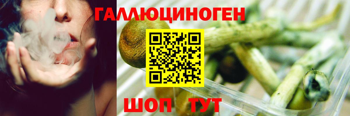 Псилоцибиновые грибы прущие грибы  Вход с VPN  Заринск 