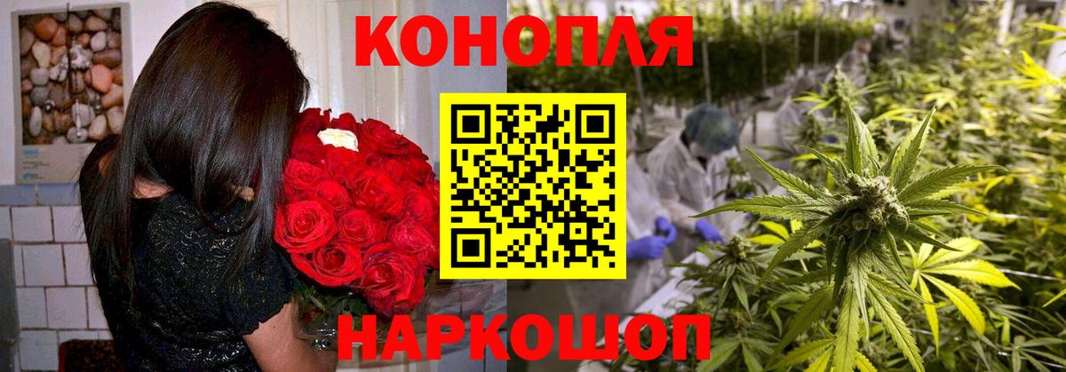 Шишки марихуана планчик  Вход с VPN  Заринск  Бошки Шишки THC 21%  МАРИХУАНА AK-47 